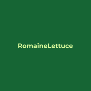 Romaine Lettuce