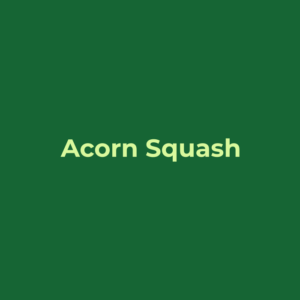 Acorn Squash
