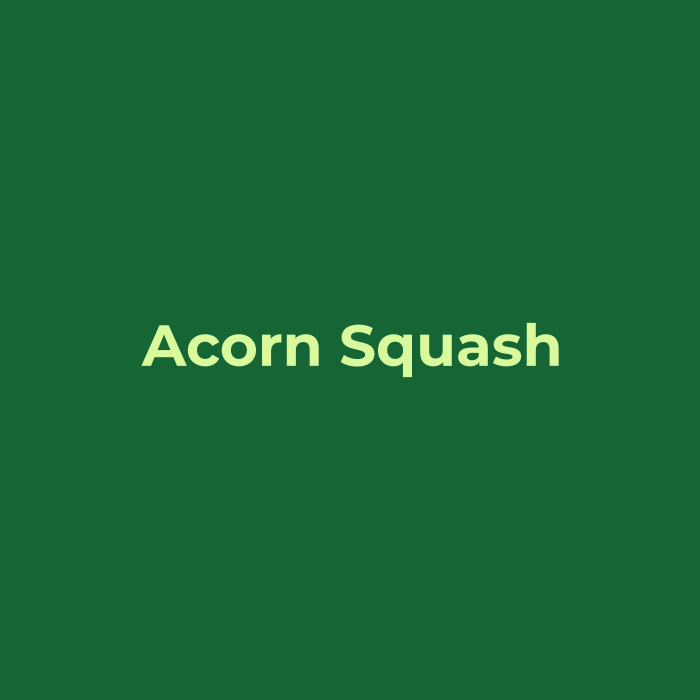 Acorn Squash