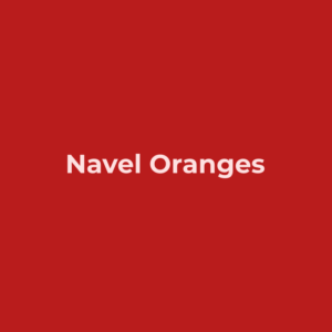 Navel Oranges