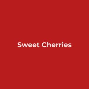 Sweet Cherries
