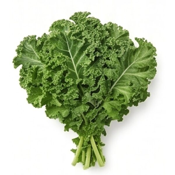 Curly Kale