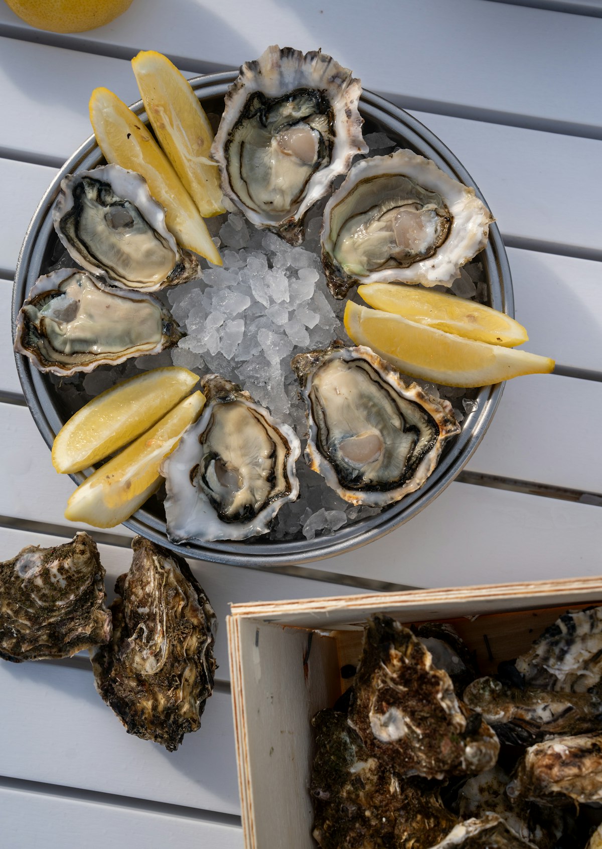 Gulf Oysters, Shucked or Whole, Dozen