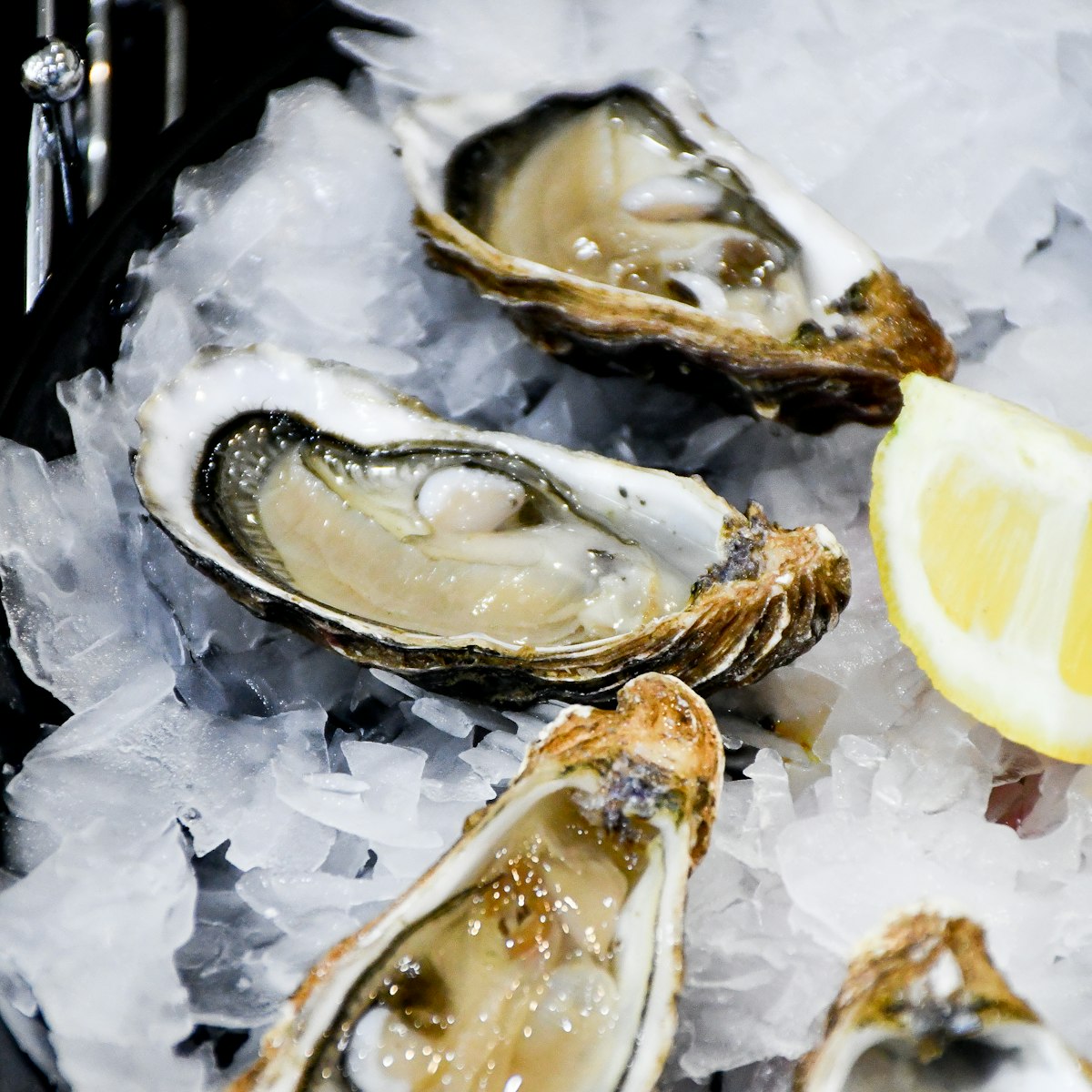 Gulf Oysters, Shucked or Whole, Dozen