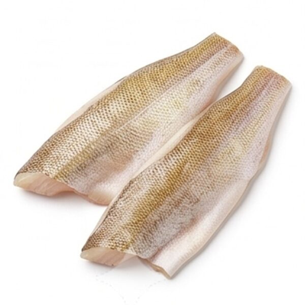 Lake Walleye Fillet